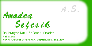 amadea sefcsik business card